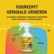 Beeld