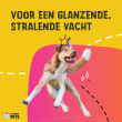 Beeld