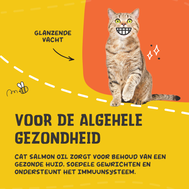 Beeld