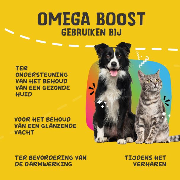Beeld
