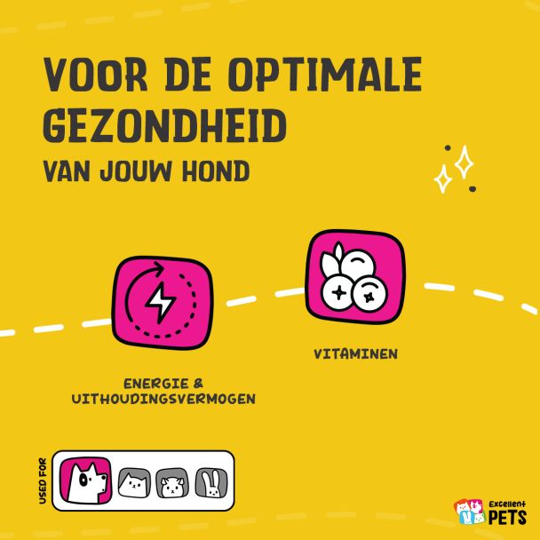 Beeld