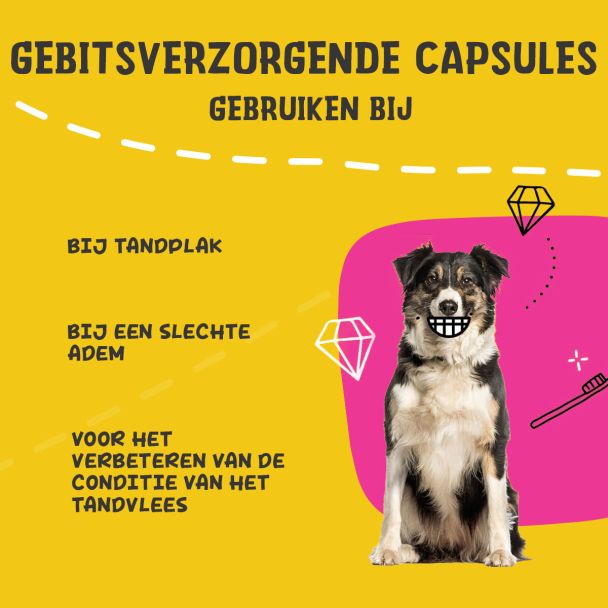 Beeld