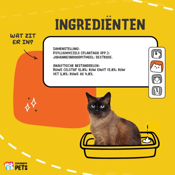 Beeld