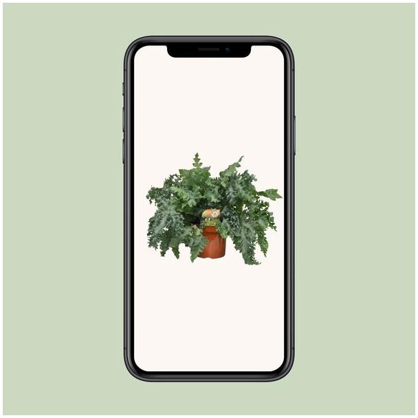 Beeld