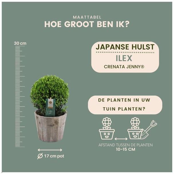 Beeld