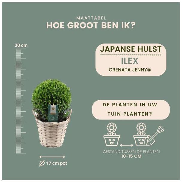 Beeld