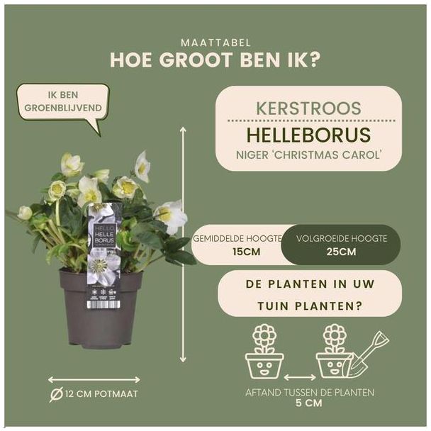 Beeld