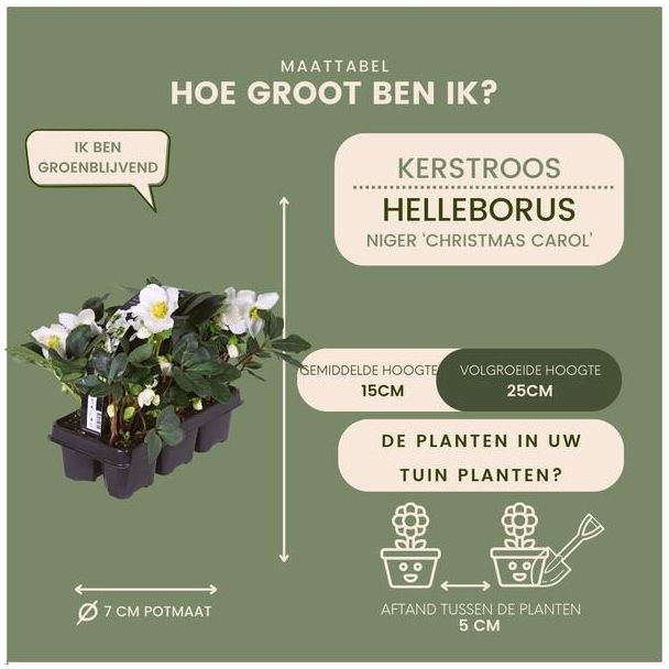 Beeld