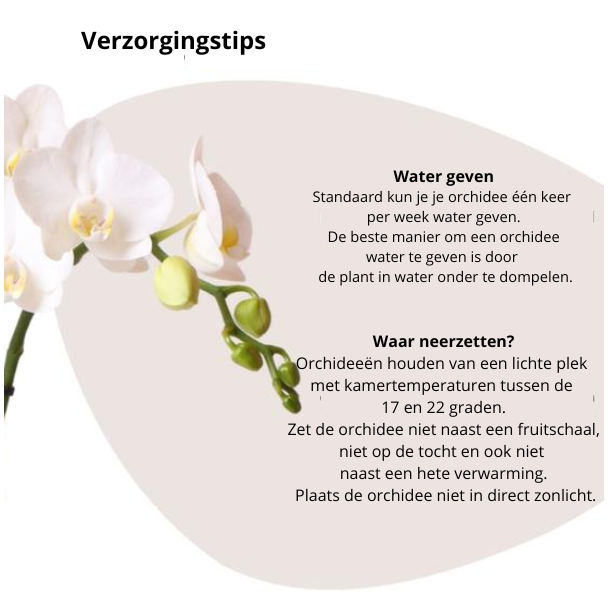 Beeld