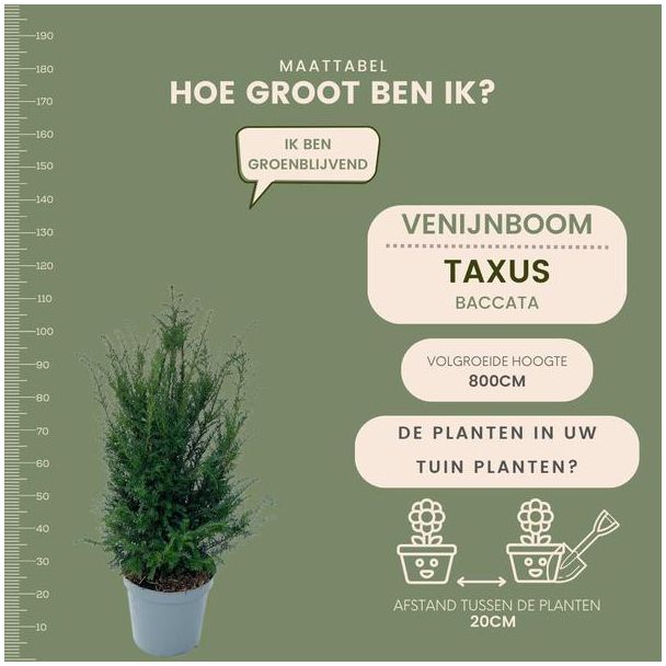 Beeld