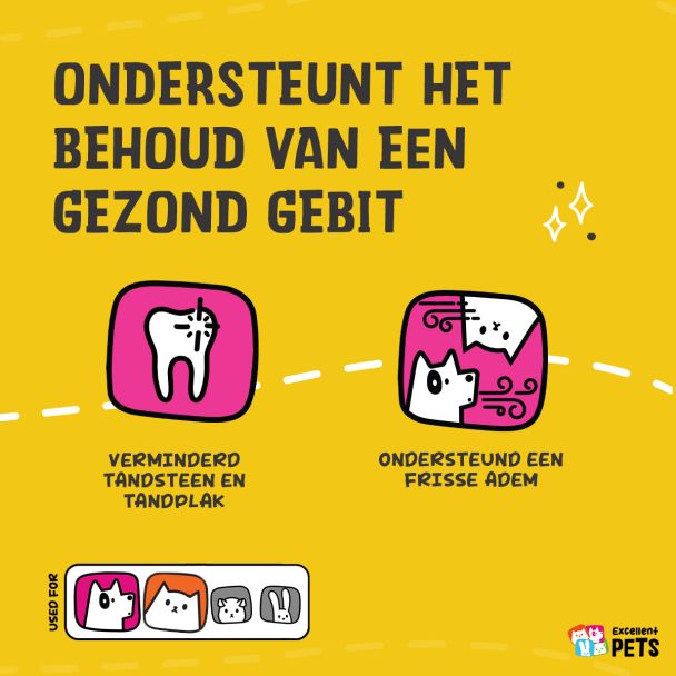 Beeld