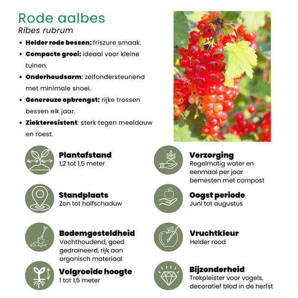 Beeld