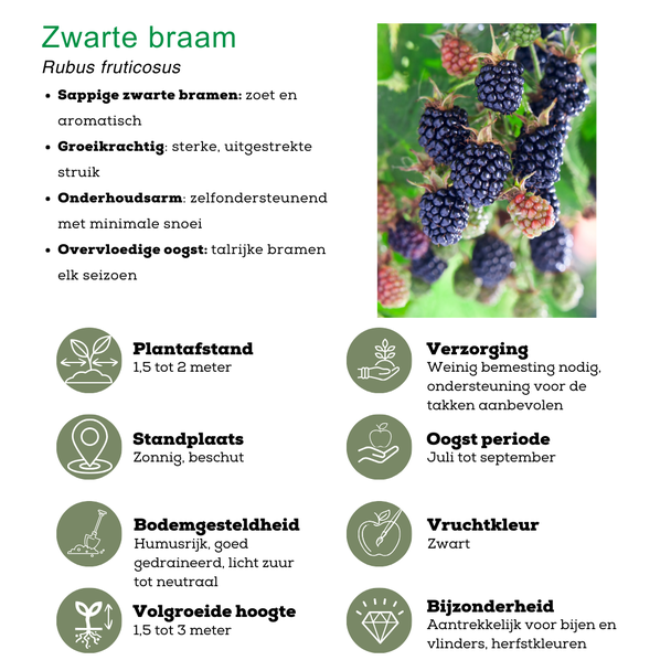 Beeld