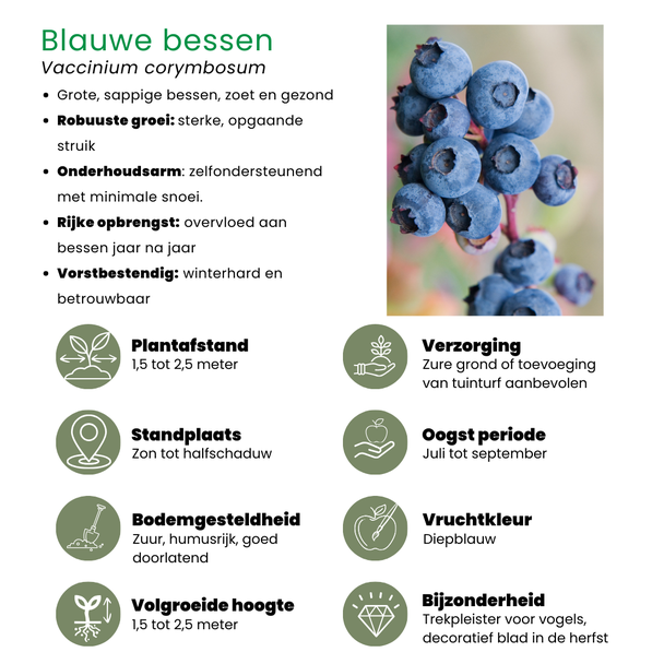 Beeld