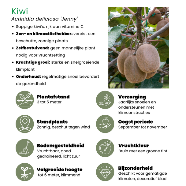 Beeld