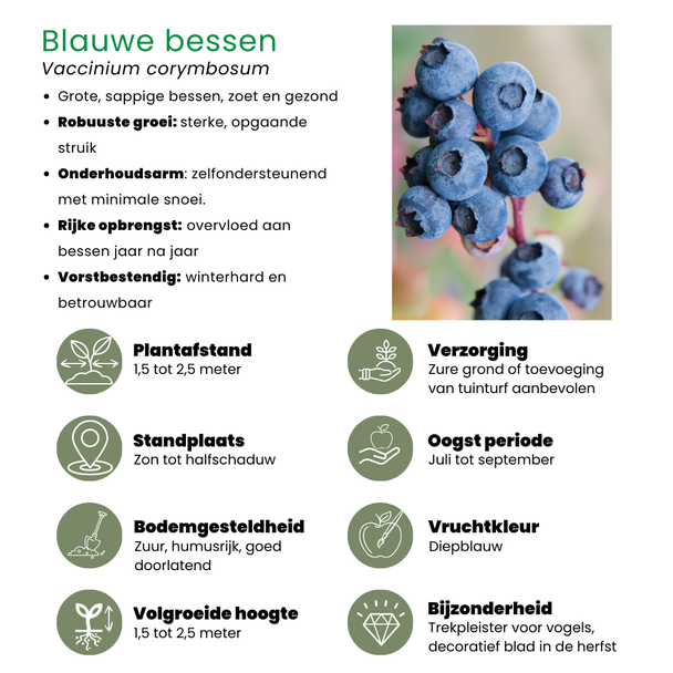 Beeld