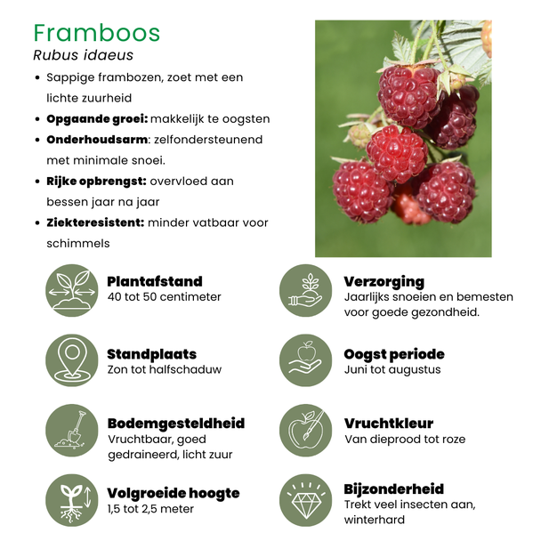 Beeld