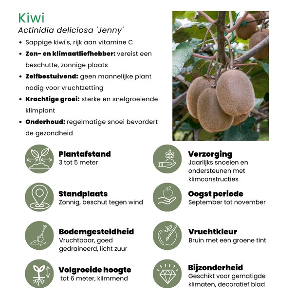 Beeld