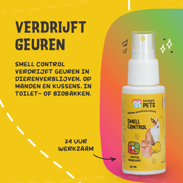 Beeld