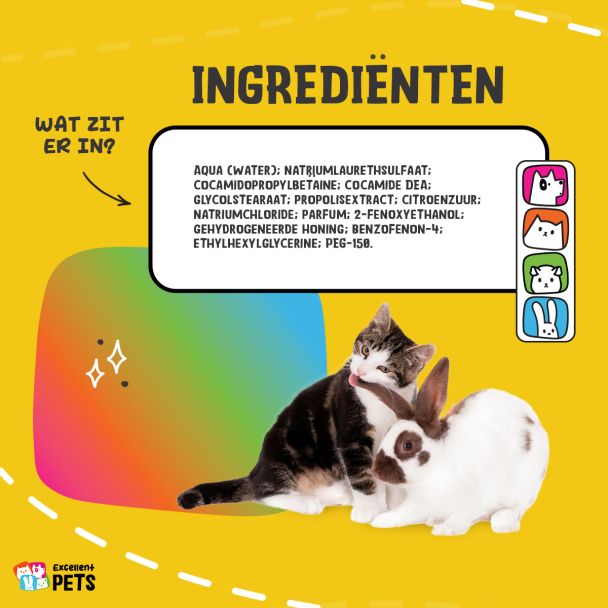 Beeld