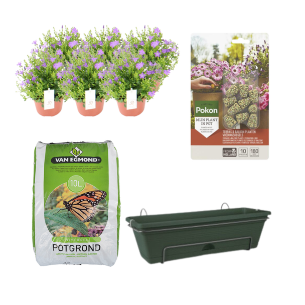 Campanula 6 stuks,Complete set,(incl.balkonbak/ potgrond/ Voedingskegels) Terras&Balkon,  P12  Balkonbak Groen DIY-set - Campanula
