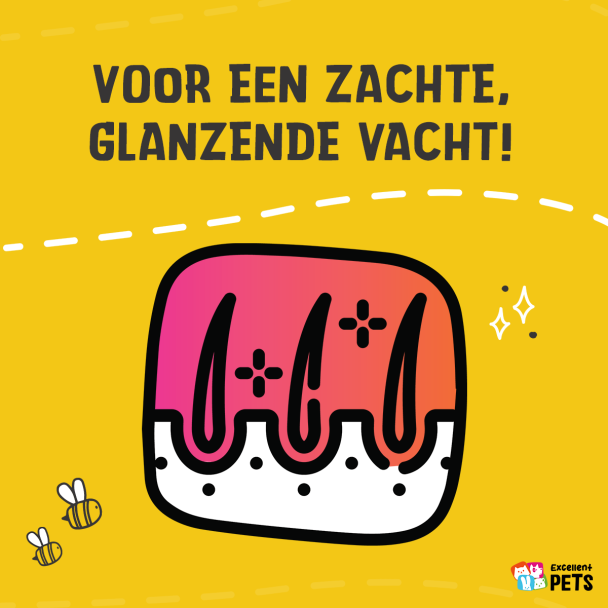 Beeld