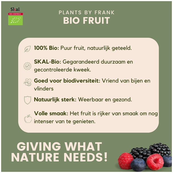 Beeld