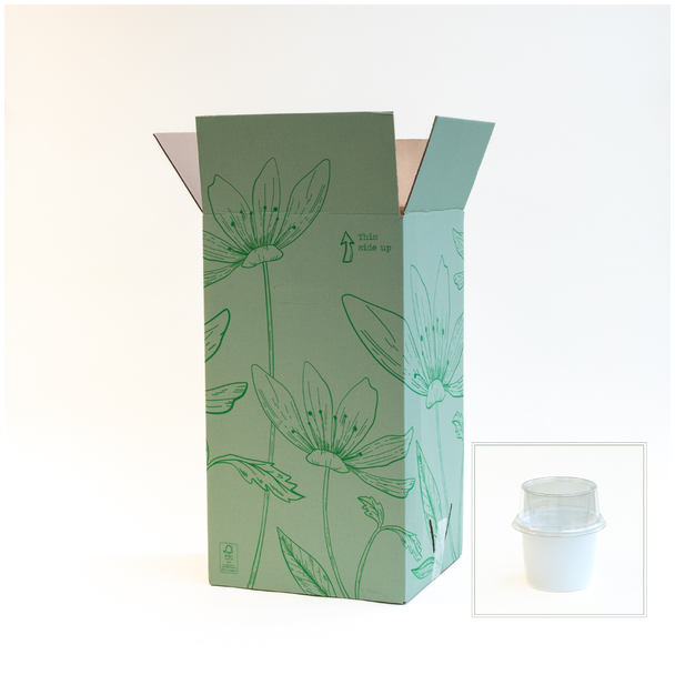 Boeket Blauwe maandag met Rituals Ayurveda Foaming Showergel, wit, paars en blauw