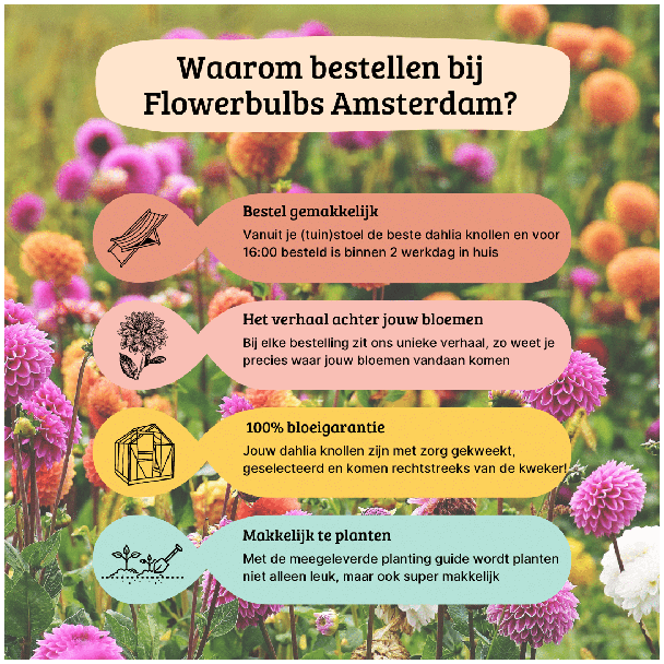 Beeld