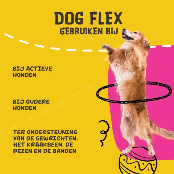 Beeld