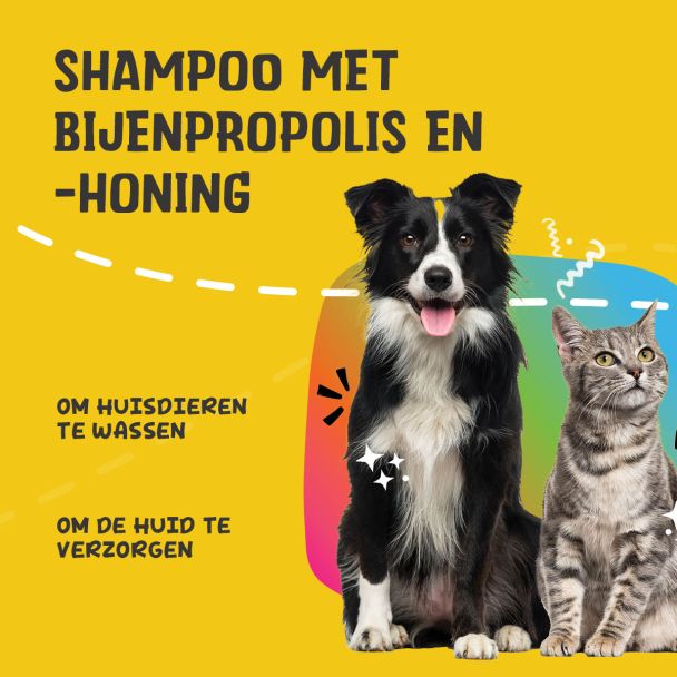 Beeld
