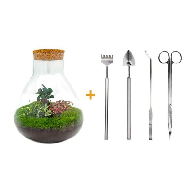 Bouw je eigen Zelfvoorzienende Biotoop / mini-ecosysteem - Botanical Sam XL -  ↕ 35 cm met hark, schep en pincet