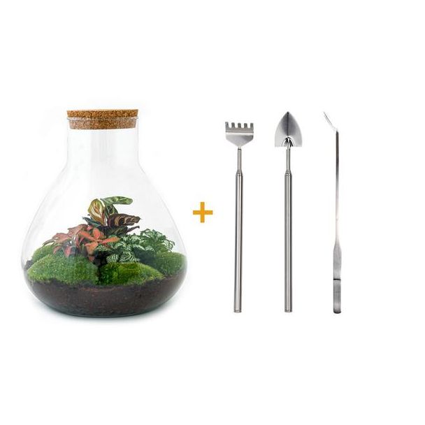 DIY terrarium - Sam XL Rood - ↕ 35 cm - Rake + Shovel + Tweezer