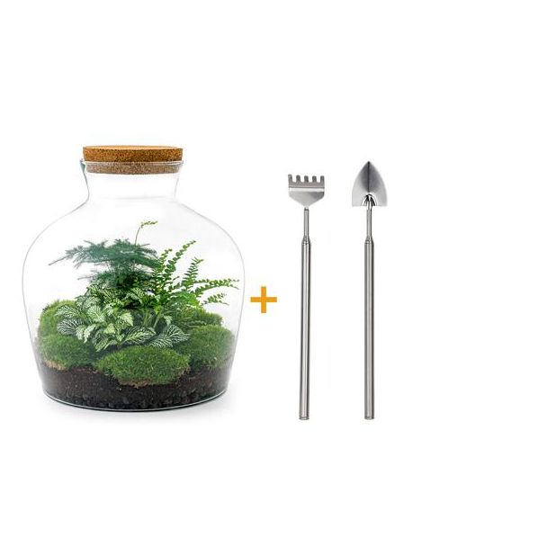 DIY terrarium - Fat Joe Groen - ↕ 30 cm - Rake + Shovel
