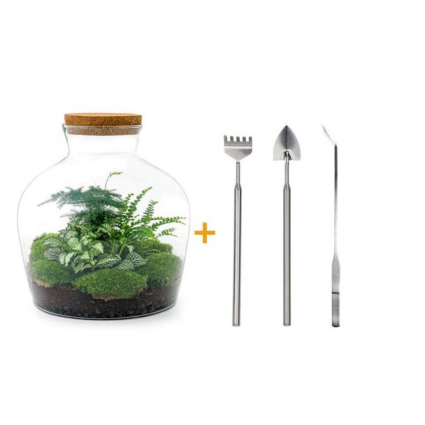 DIY terrarium - Fat Joe Groen - ↕ 30 cm - Rake + Shovel + Tweezer