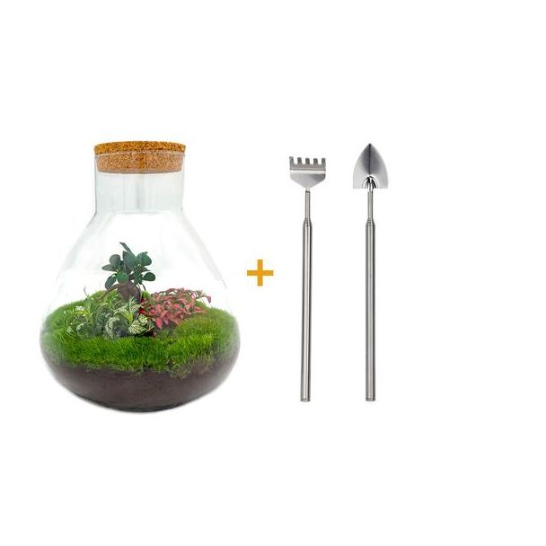 Bouw je eigen Zelfvoorzienende Biotoop / mini-ecosysteem - Botanical Sam XL -  ↕ 35 cm met hark, schep, pincet en schaar