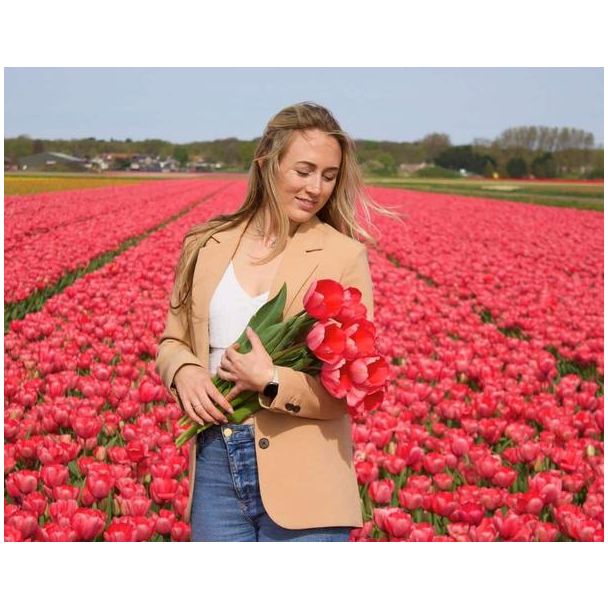 Beeld