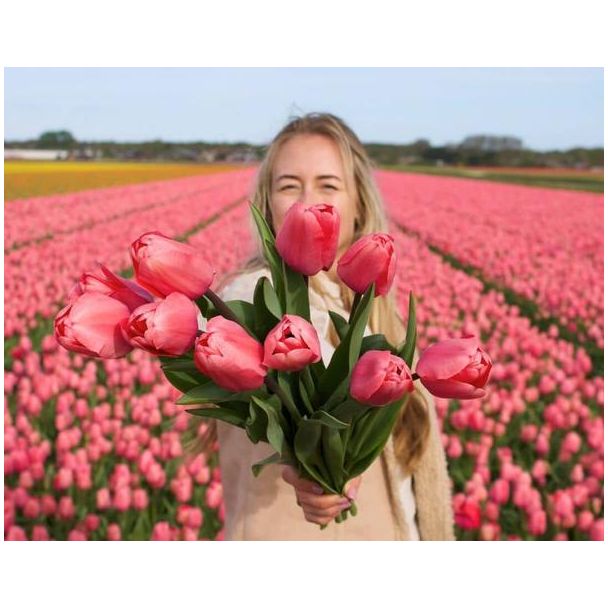 Beeld