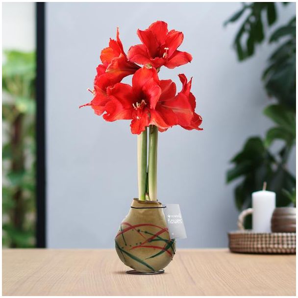 No Water Flowers® (wax amaryllis) | Waxz® Art Munch - Gold + Red flower