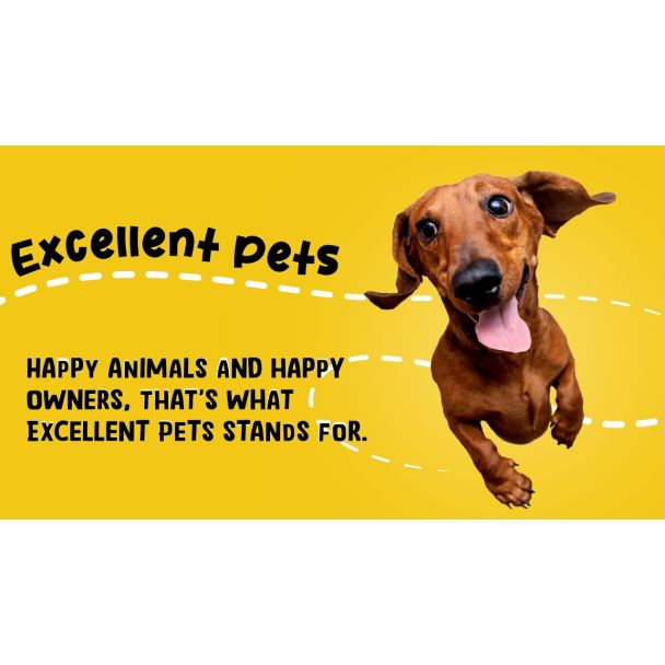 Beeld