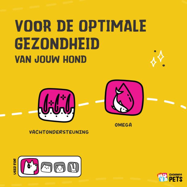 Beeld