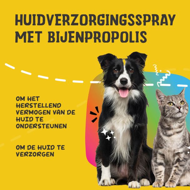 Beeld