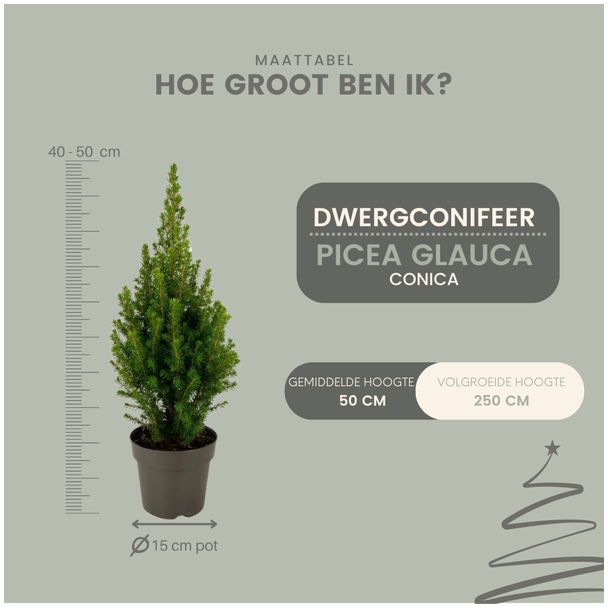 Beeld