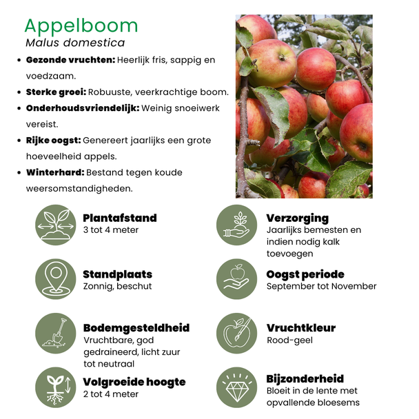 Beeld
