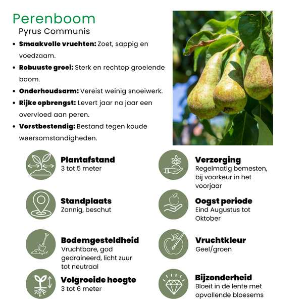 Beeld