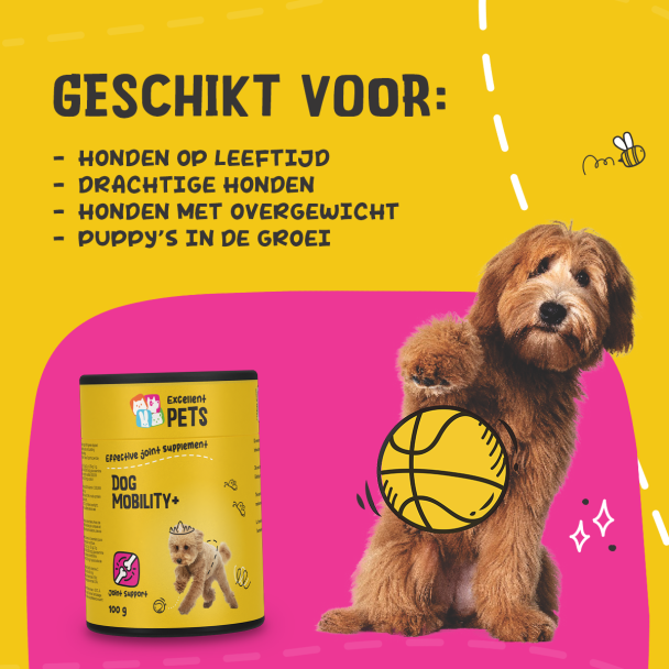 Beeld