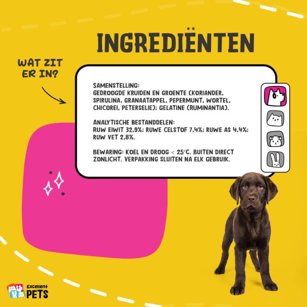 Beeld