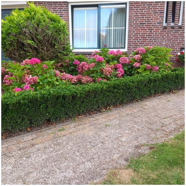 Beeld