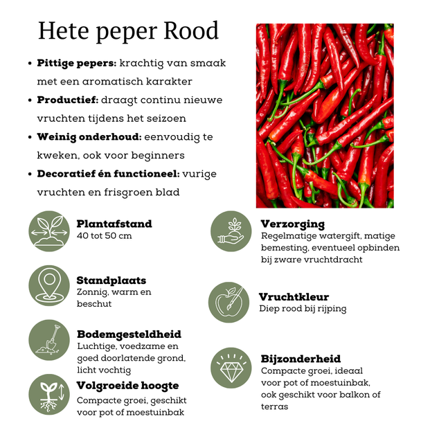 Beeld