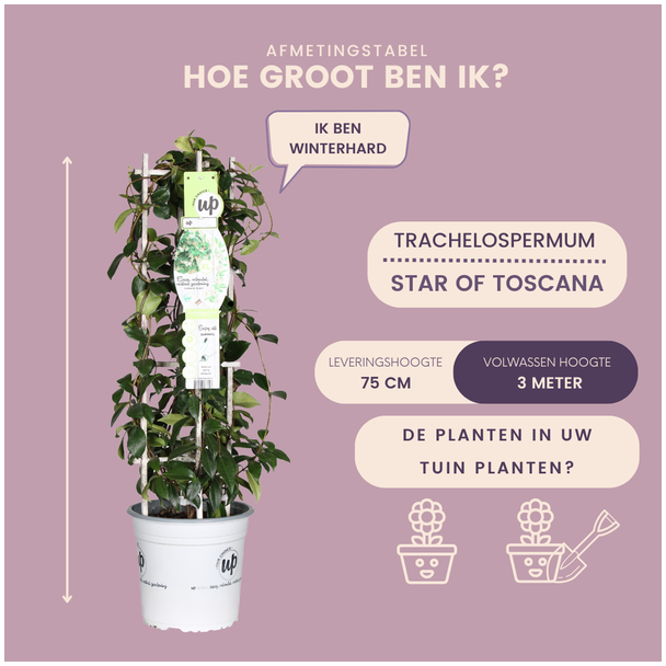 Beeld
